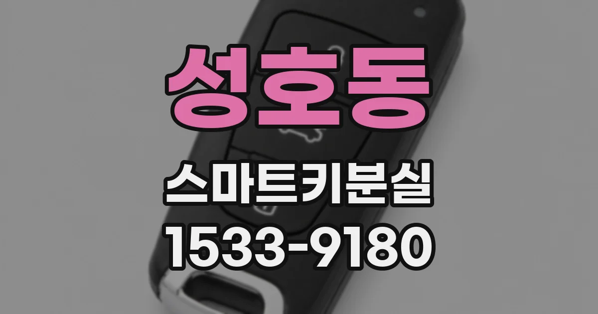 성호동 스마트키분실