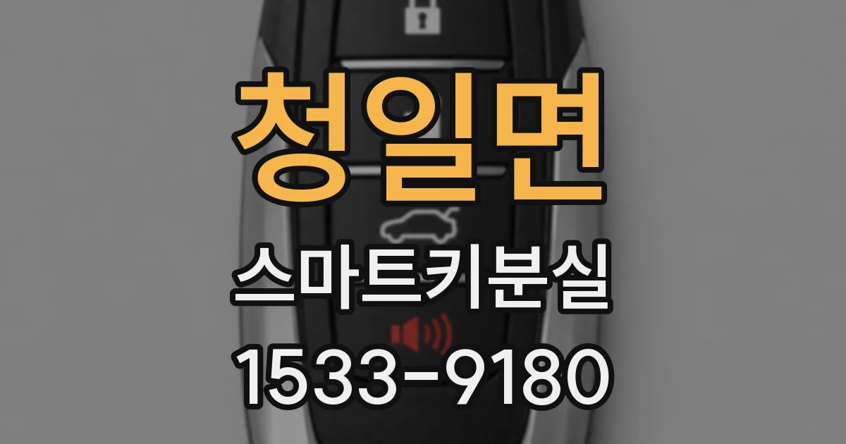 청일면 스마트키분실