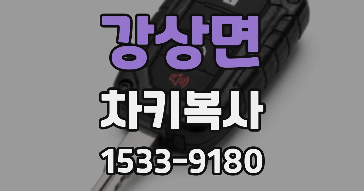 강상면 차키복사