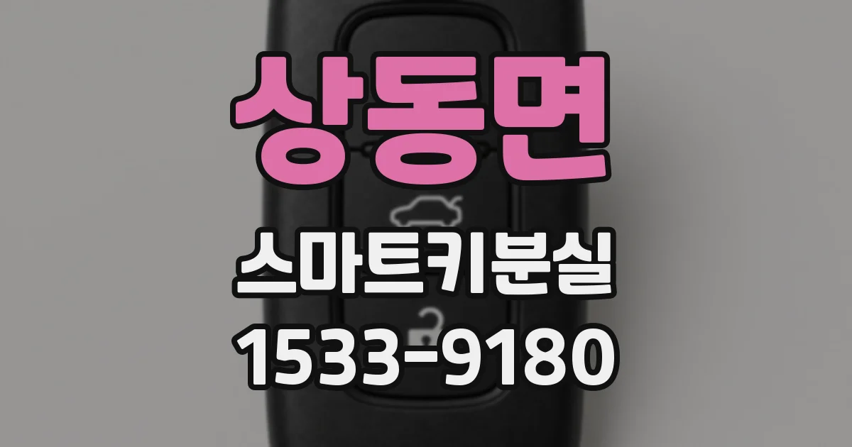 상동면 스마트키분실