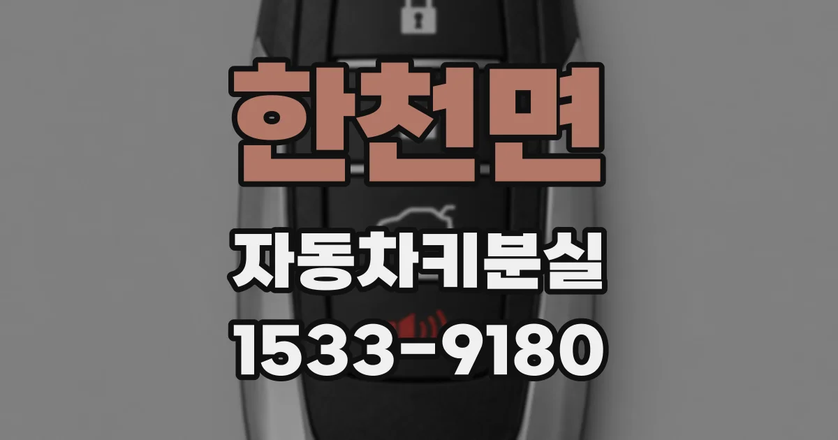 한천면 자동차키분실
