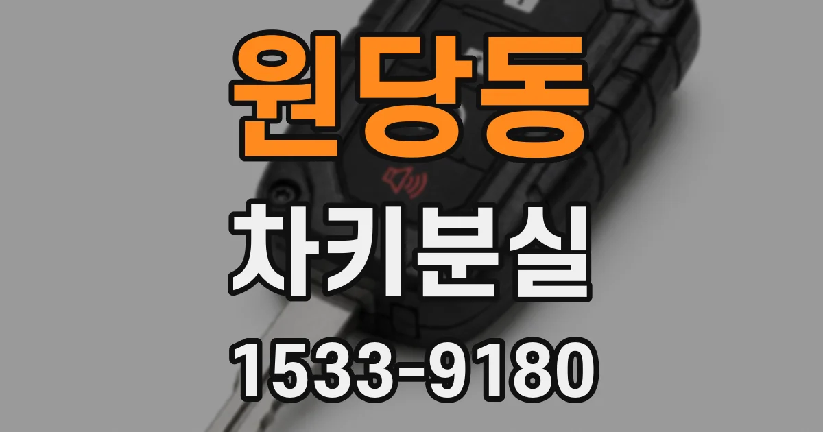 원당동 차키분실