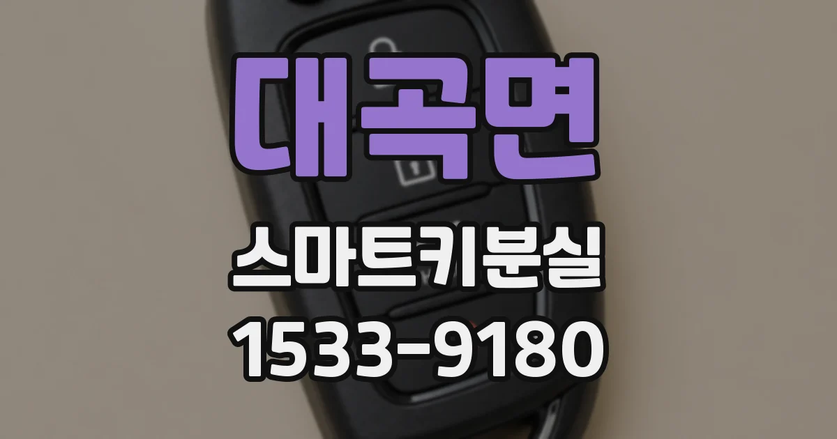 대곡면 스마트키분실