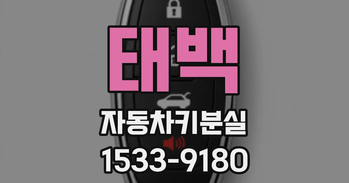 태백 자동차키분실