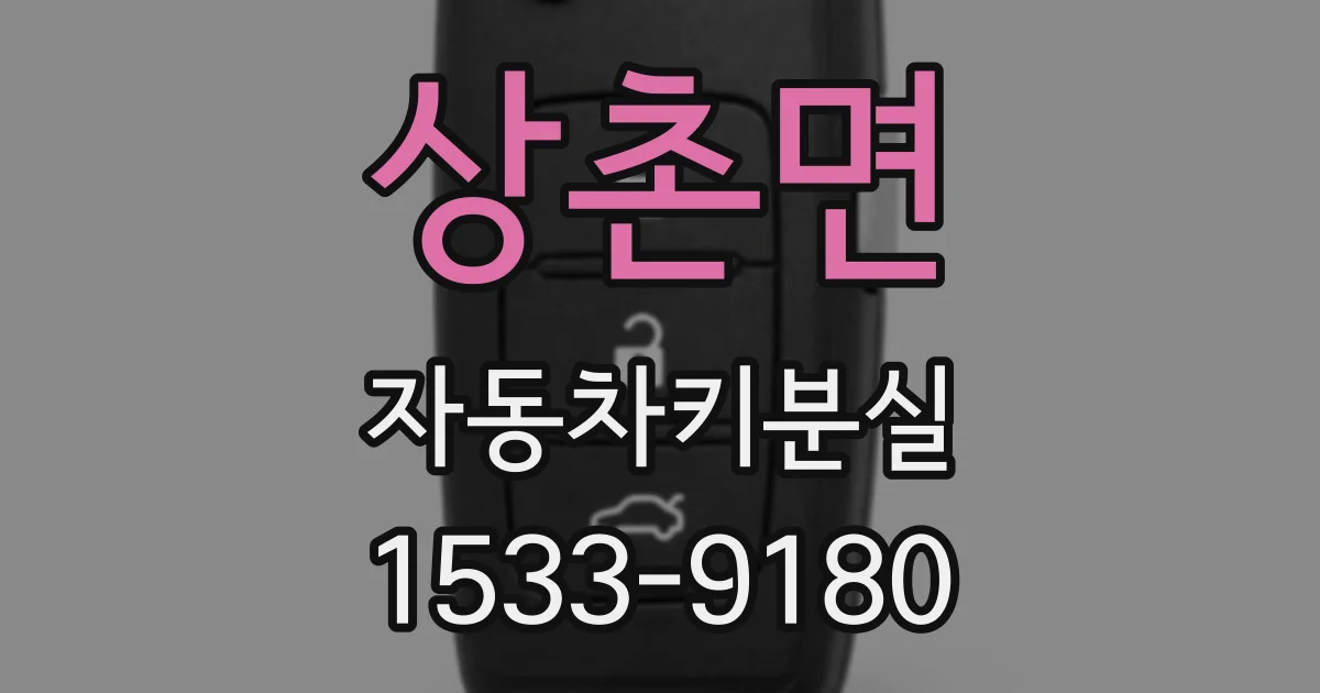 상촌면 자동차키분실