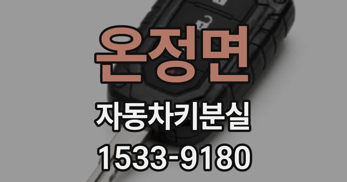 온정면 자동차키분실