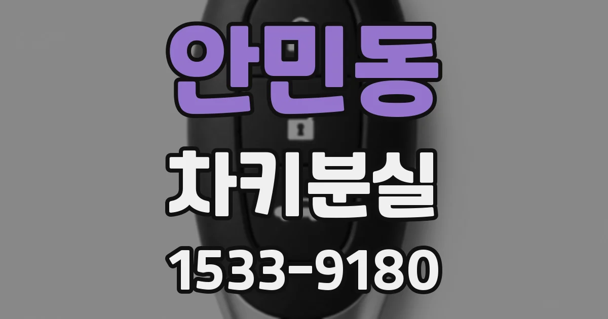 안민동 차키분실