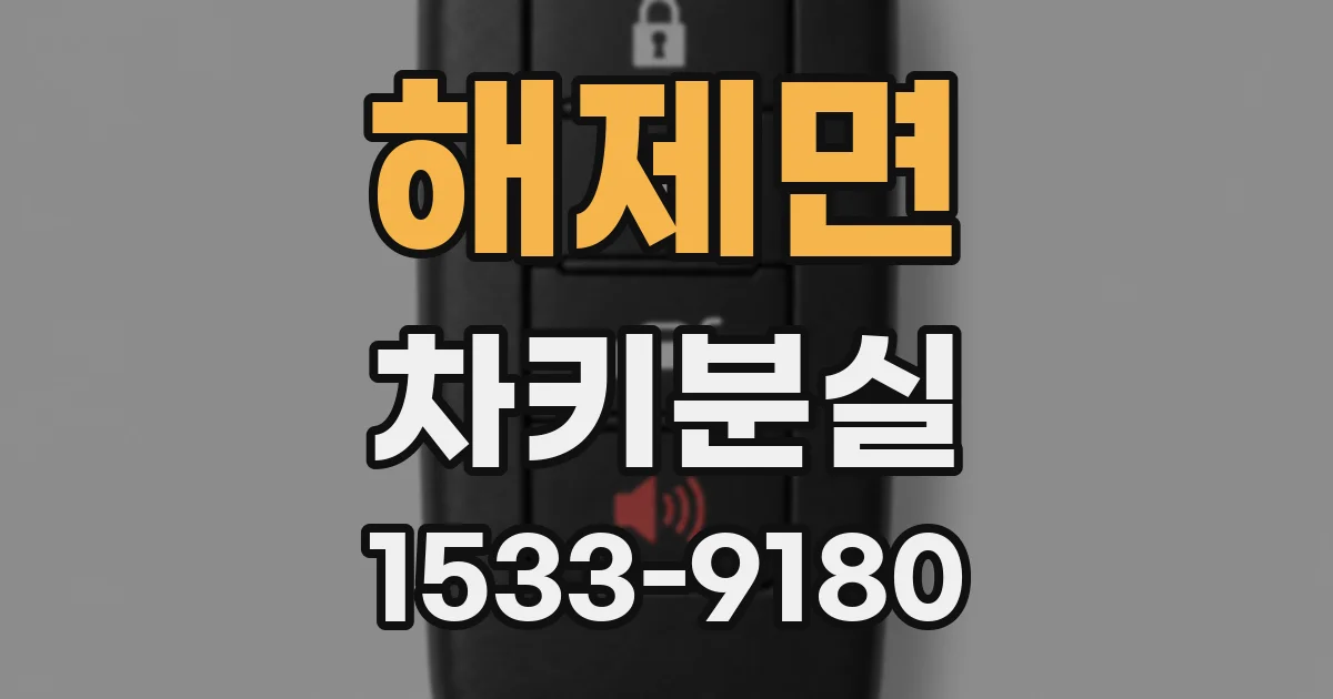 해제면 차키분실