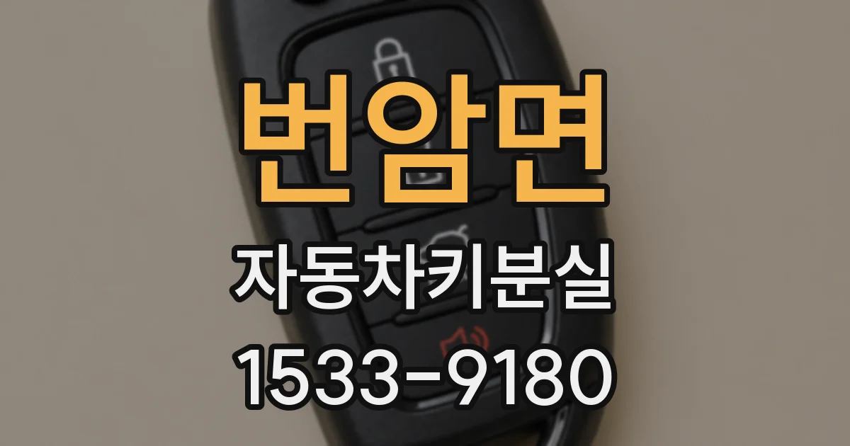 번암면 자동차키분실
