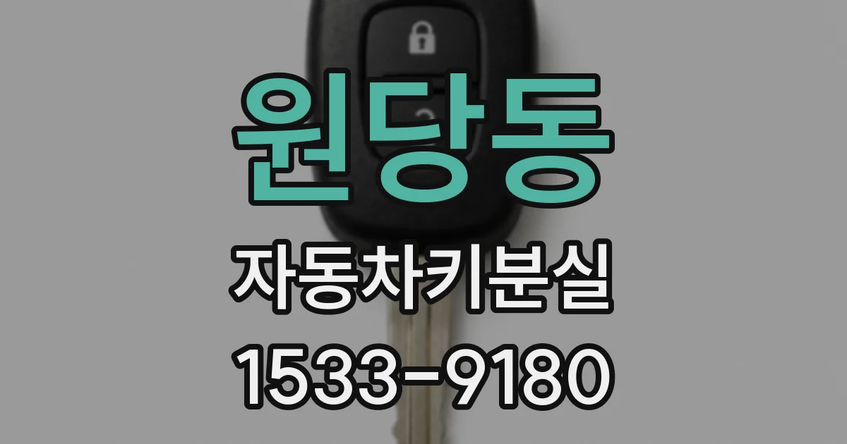 원당동 자동차키분실