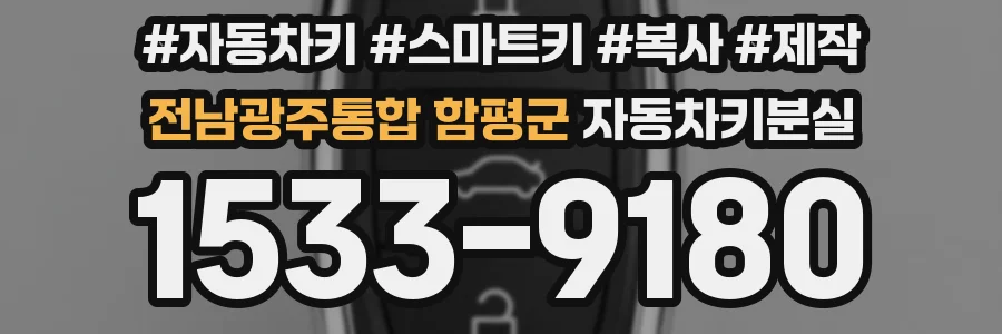 전남광주통합 함평군 자동차키분실