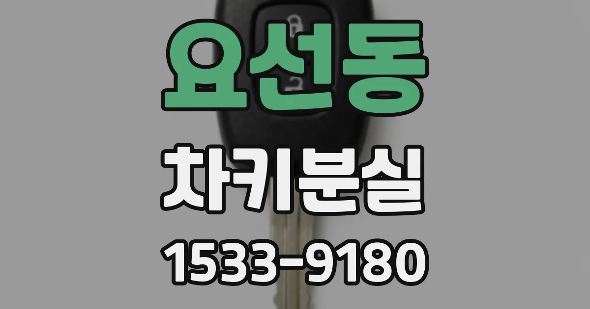 요선동 차키분실