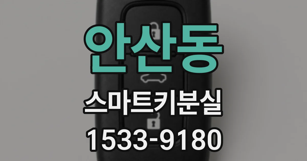 안산동 스마트키분실