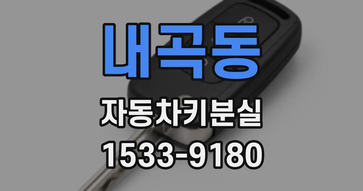 내곡동 자동차키분실