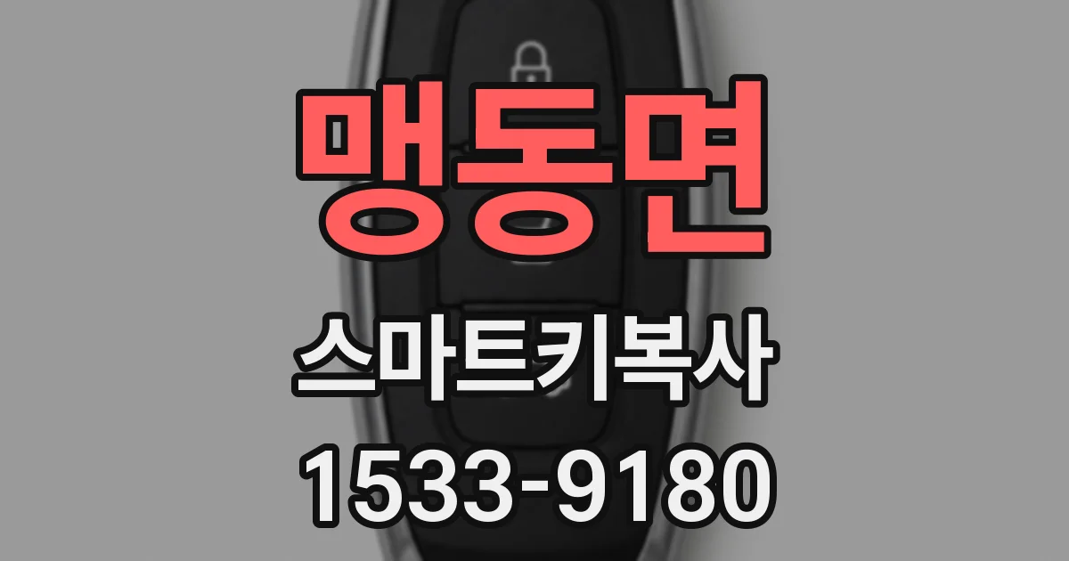 맹동면 스마트키복사