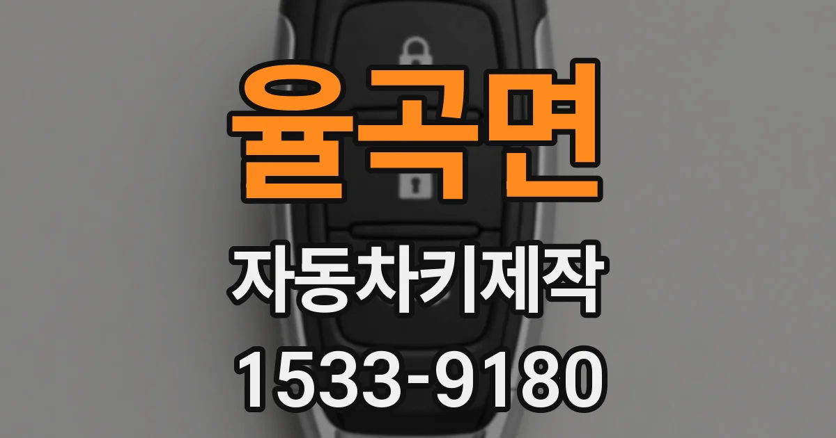 율곡면 자동차키제작