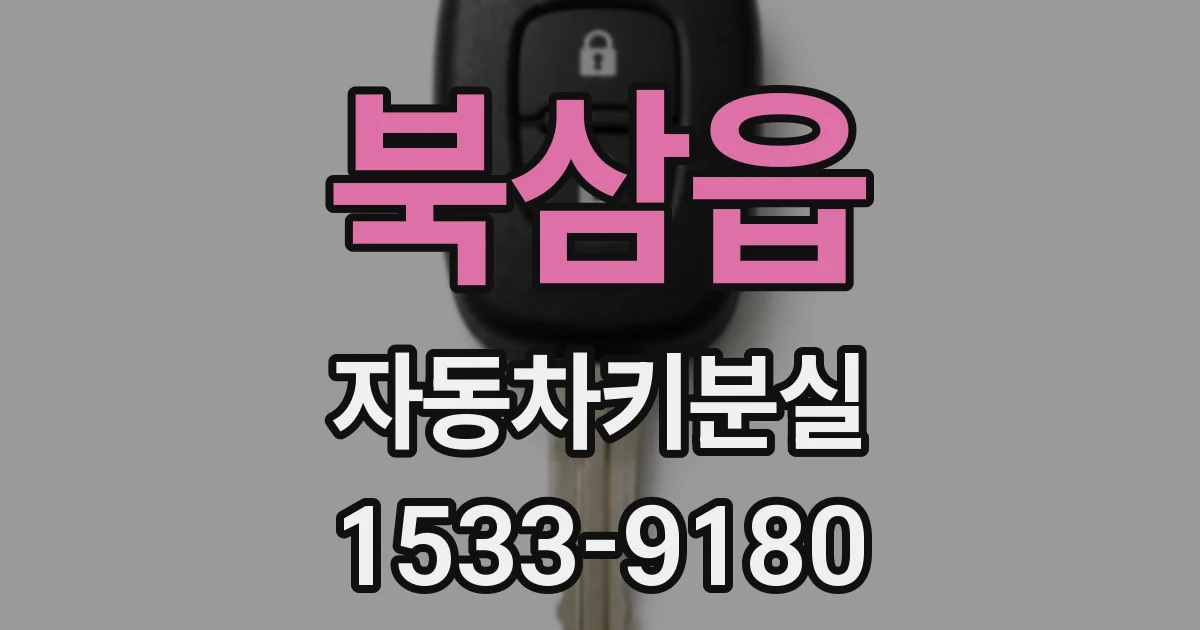 북삼읍 자동차키분실
