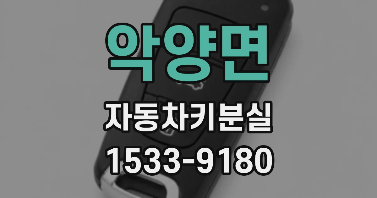 악양면 자동차키분실