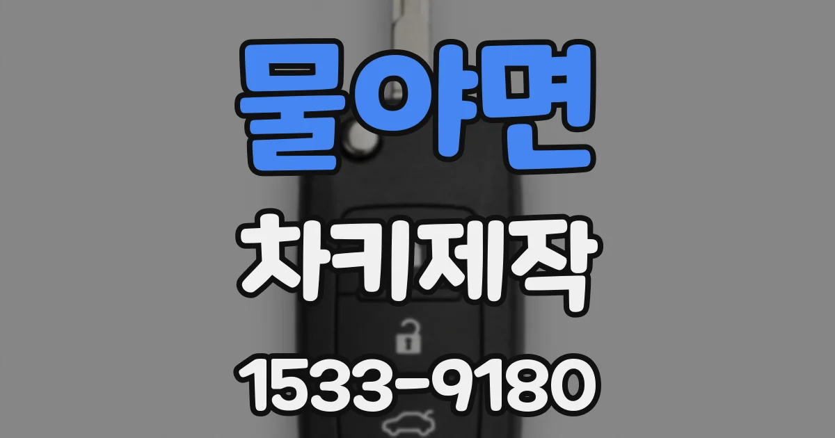 물야면 차키제작