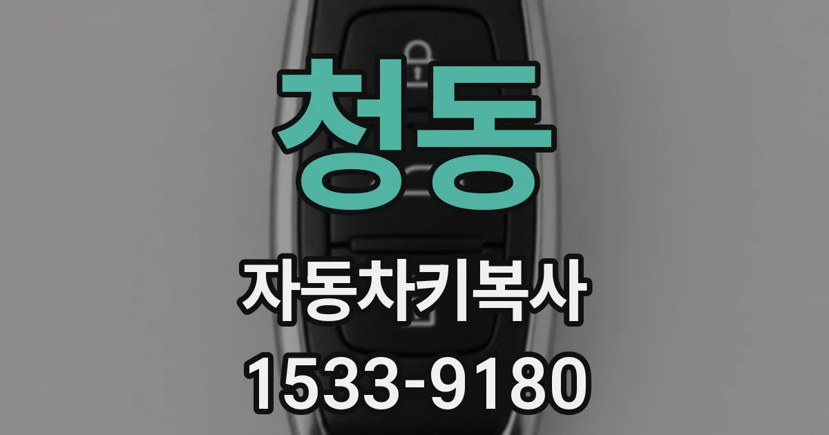 청동 자동차키복사