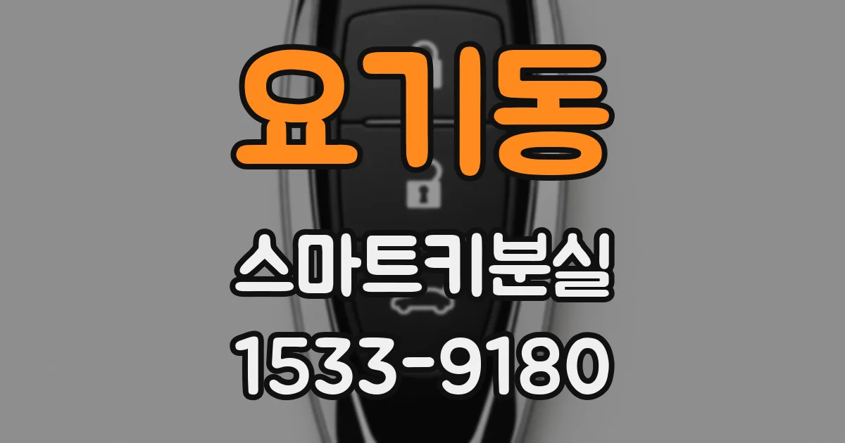 요기동 스마트키분실