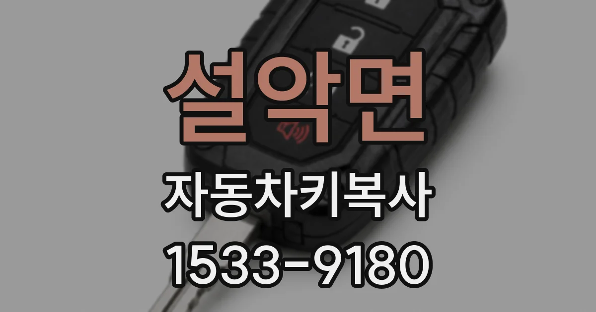 설악면 자동차키복사