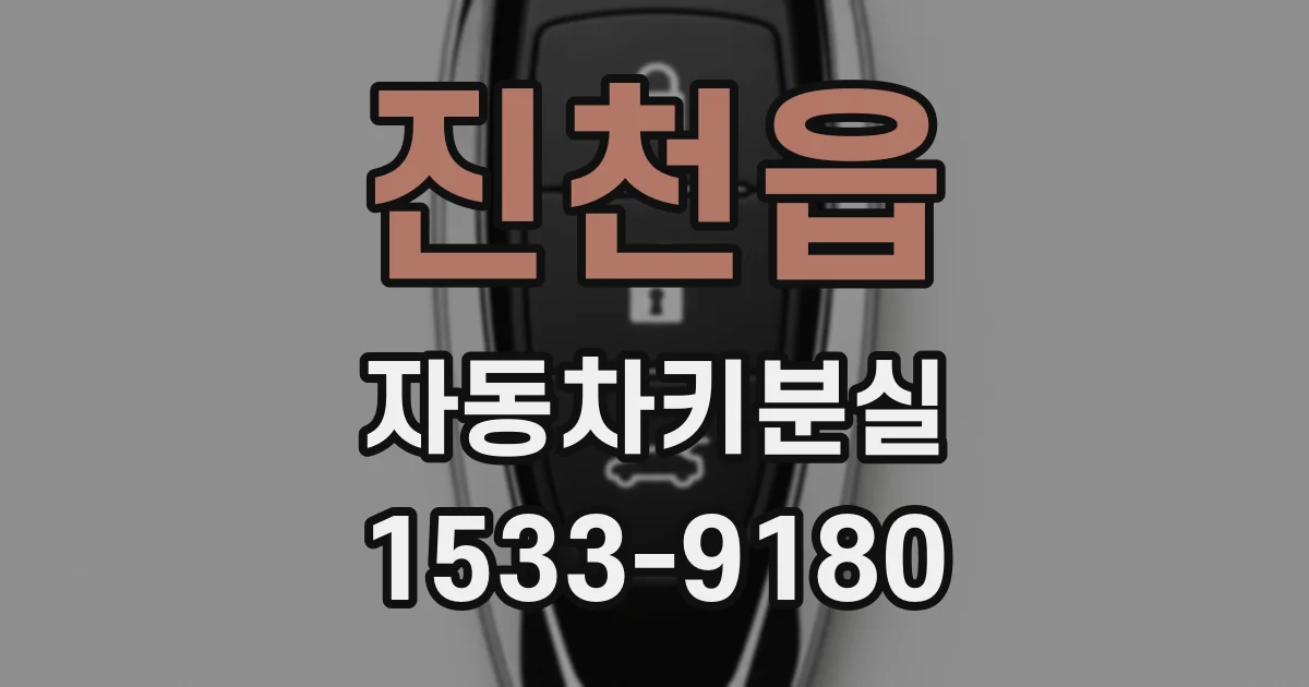 진천읍 자동차키분실