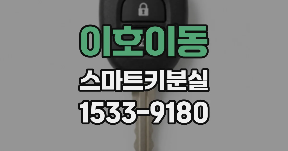 이호이동 스마트키분실