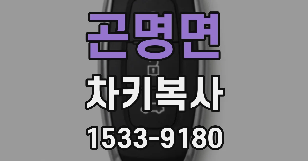 곤명면 차키복사