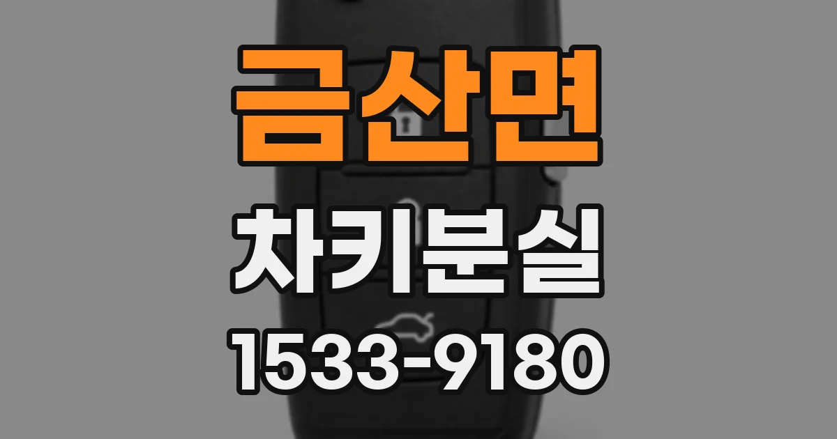 금산면 차키분실