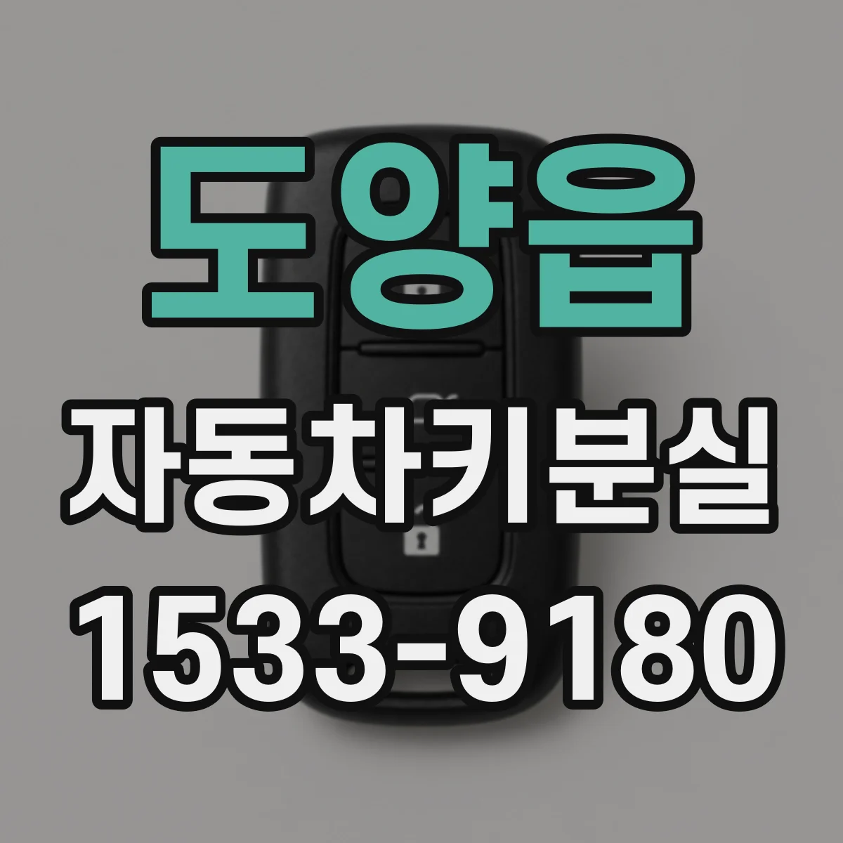 도양읍 자동차키분실