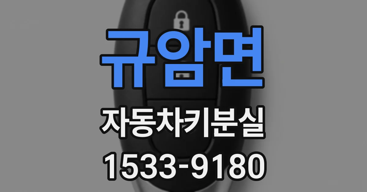 규암면 자동차키분실