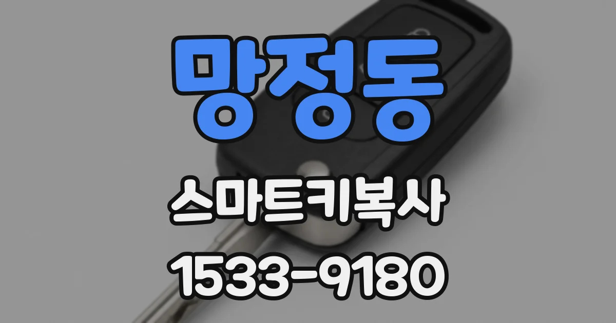 망정동 스마트키복사