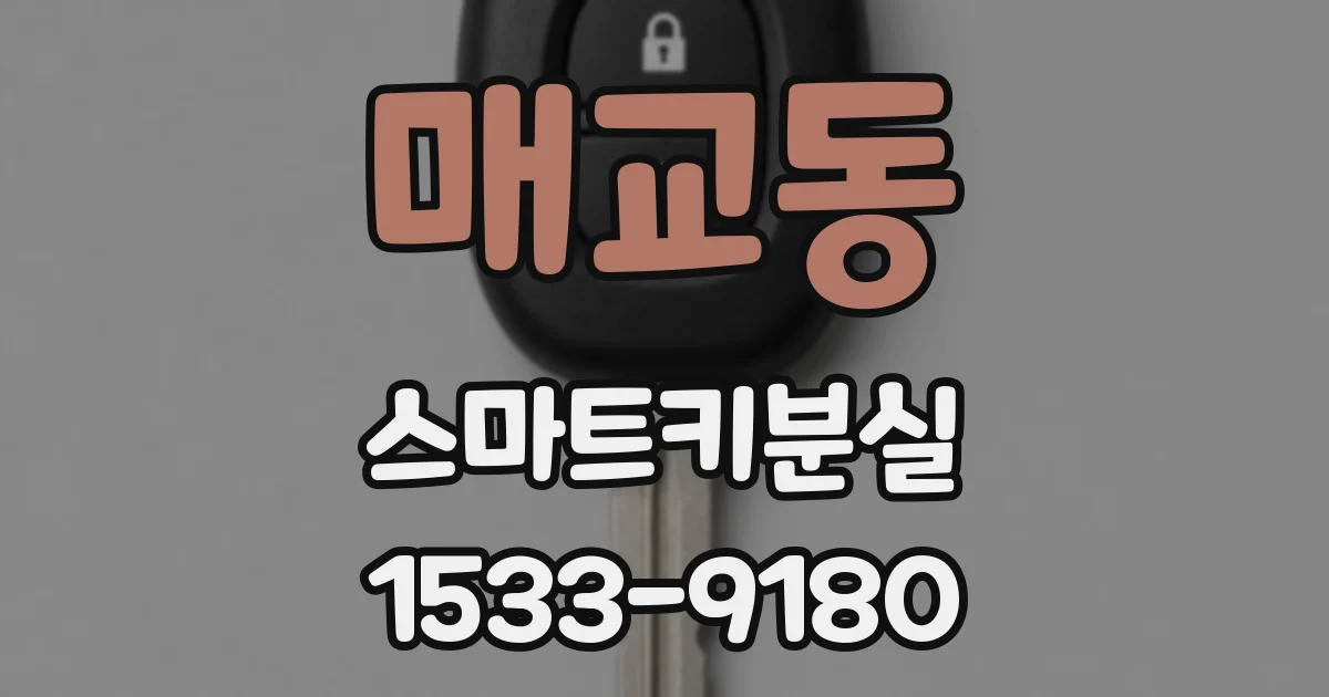 매교동 스마트키분실