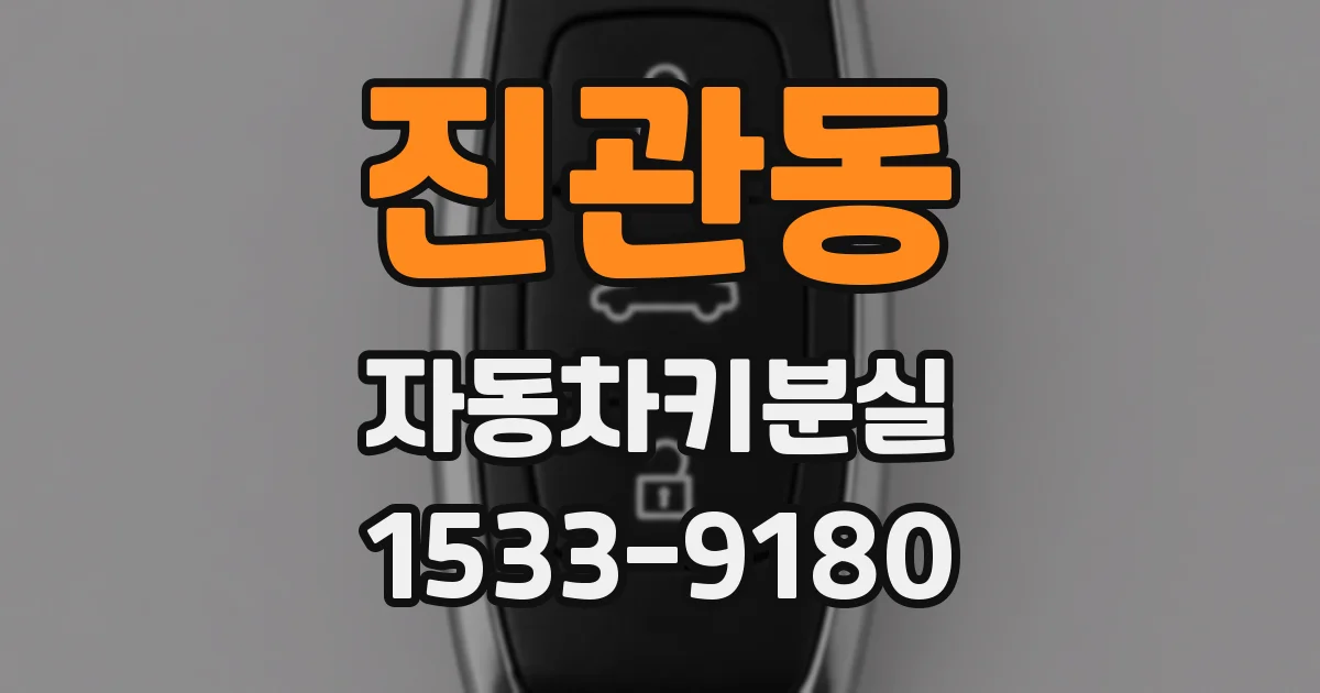 진관동 자동차키분실