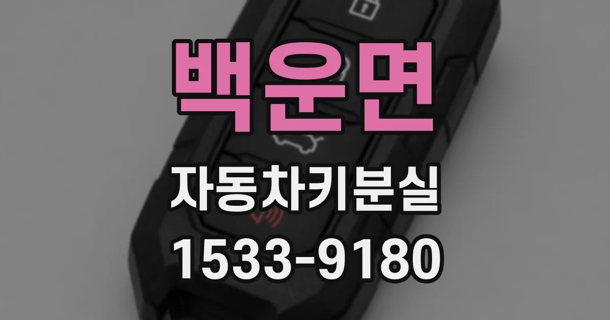 백운면 자동차키분실