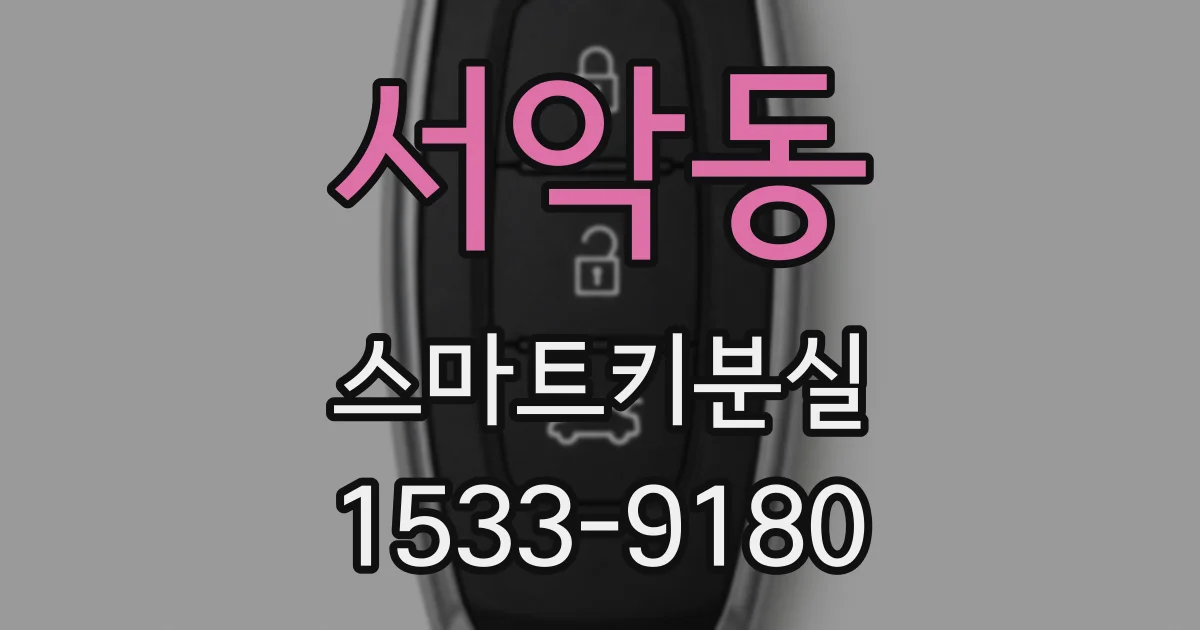 서악동 스마트키분실