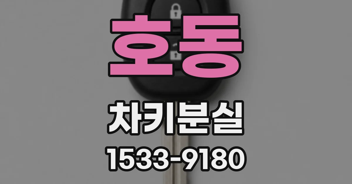 호동 차키분실