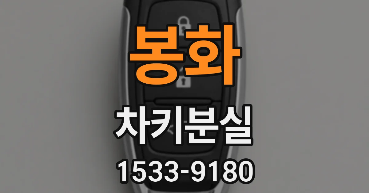 봉화 차키분실