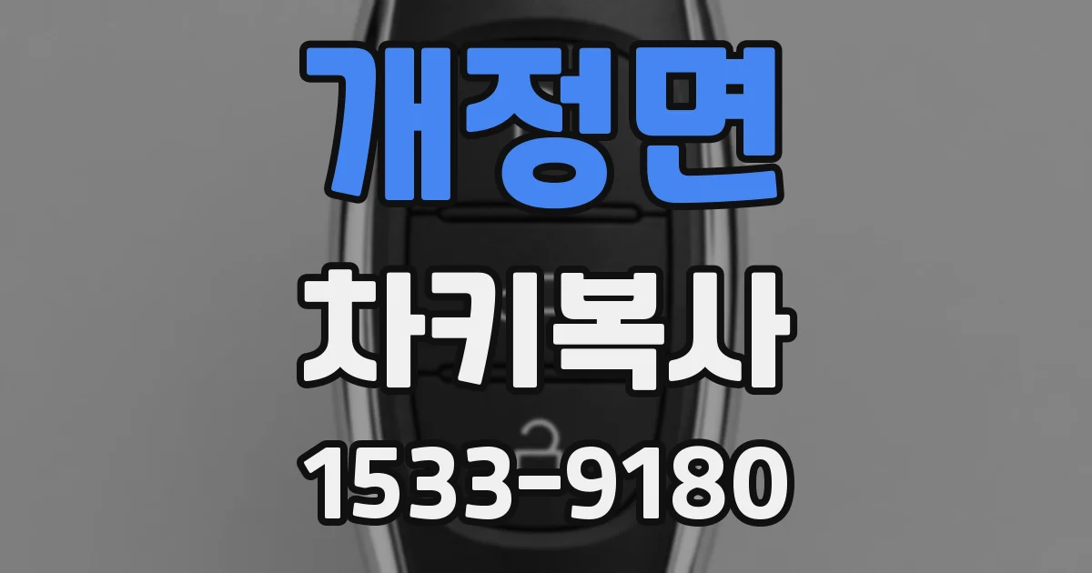 개정면 차키복사