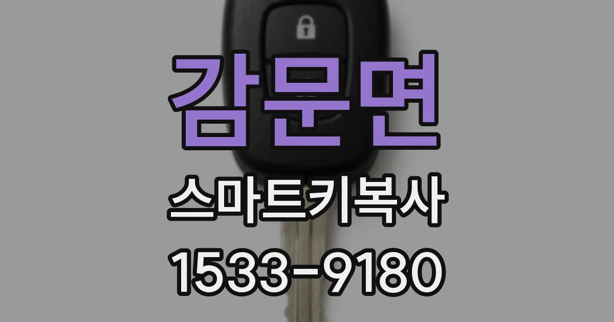 감문면 스마트키복사