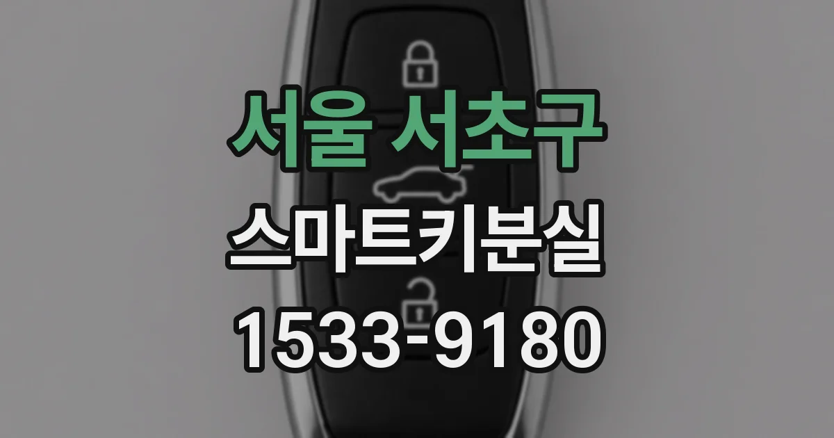 서울 서초구 스마트키분실