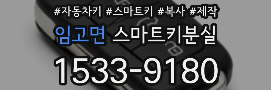 임고면 스마트키분실