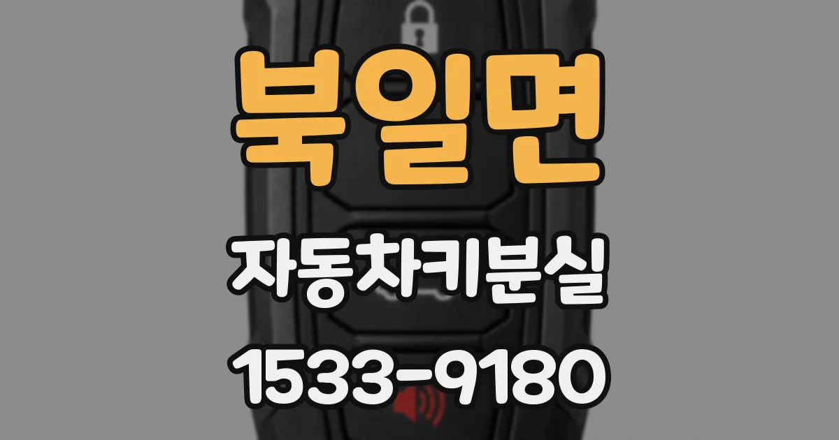 북일면 자동차키분실