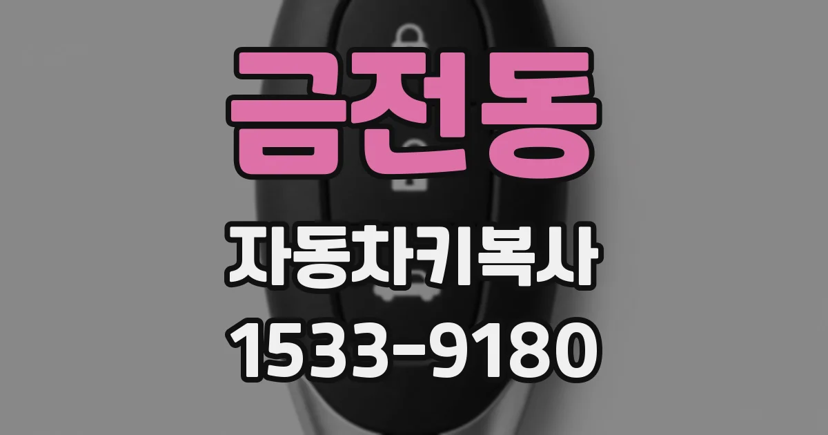 금전동 자동차키복사