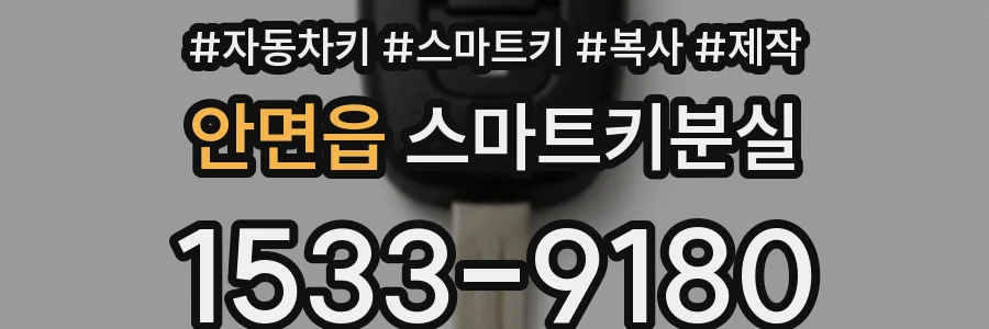 안면읍 스마트키분실