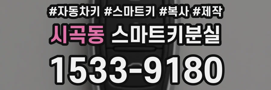 시곡동 스마트키분실