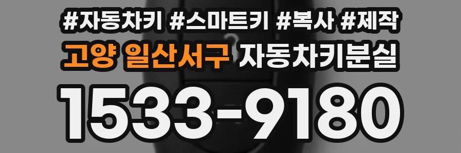 고양 일산서구 자동차키분실
