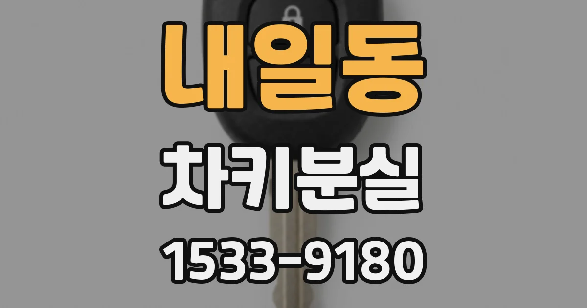 내일동 차키분실