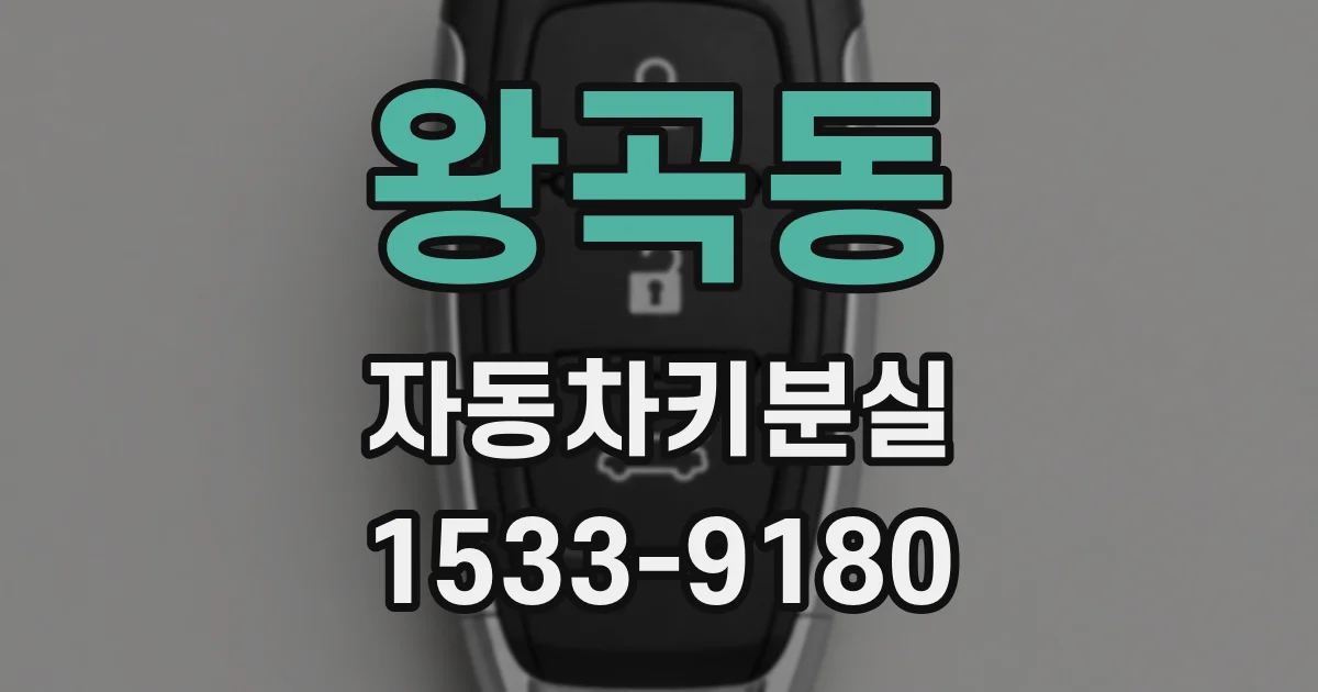 왕곡동 자동차키분실